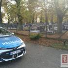 Fotka nr 1 z 11