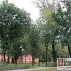 zdjęcie nr 14
