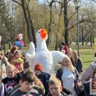zdjęcie nr 8