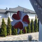 zdjęcie nr 8