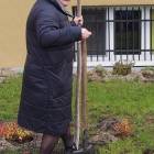 zdjęcie nr 37
