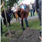 zdjęcie nr 14