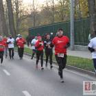 zdjęcie nr 104