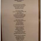 zdjęcie nr 11