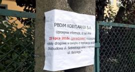 Fotka nr 0 z 33