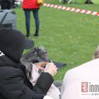 zdjęcie nr 36