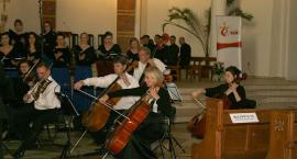 zdjęcie nr 7
