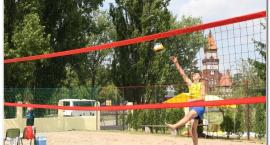 zdjęcie nr 10