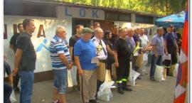 zdjęcie nr 13
