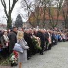 zdjęcie nr 14