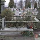zdjęcie nr 22