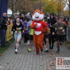 zdjęcie nr 14