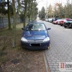 Fotka nr 1 z 14