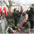 zdjęcie nr 15