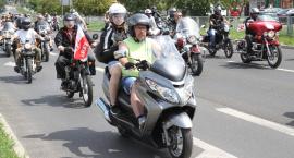 zdjęcie nr 13