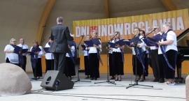 zdjęcie nr 8