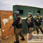 Fotka nr 3 z 17