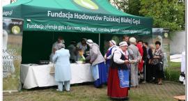 zdjęcie nr 35