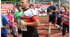 zdjęcie nr 13