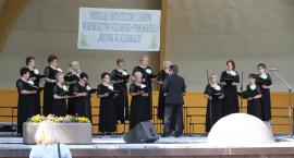 zdjęcie nr 16