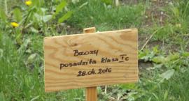 Fotka nr 0 z 23