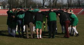 Fotka nr 2 z 11