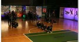 zdjęcie nr 77