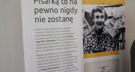 Fotka nr 3 z 13