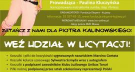 Fotka nr 0 z 14