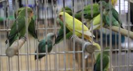 Fotka nr 5 z 16
