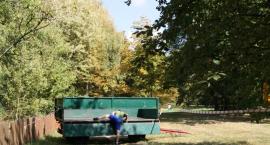zdjęcie nr 123