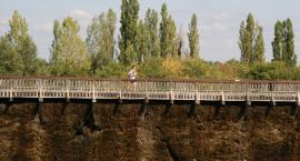 zdjęcie nr 132