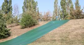 zdjęcie nr 30