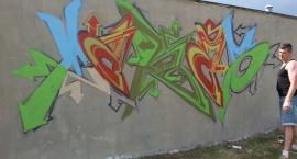 zdjęcie nr 13