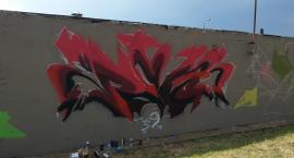 Fotka nr 4 z 13