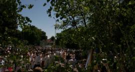 zdjęcie nr 50