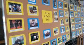 zdjęcie nr 16