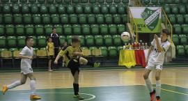 zdjęcie nr 17