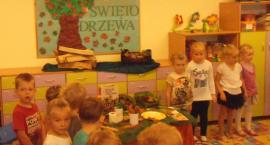 zdjęcie nr 7