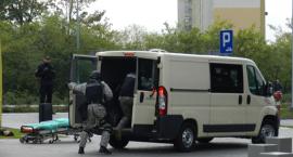 zdjęcie nr 7