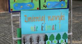 zdjęcie nr 12