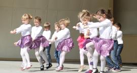 zdjęcie nr 7
