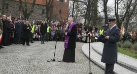 zdjęcie nr 16