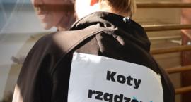 zdjęcie nr 9