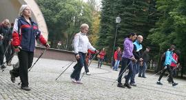zdjęcie nr 10