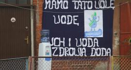 zdjęcie nr 12