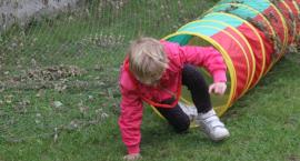 zdjęcie nr 24