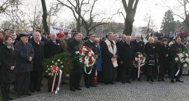 zdjęcie nr 15