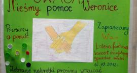 zdjęcie nr 7