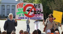 zdjęcie nr 7